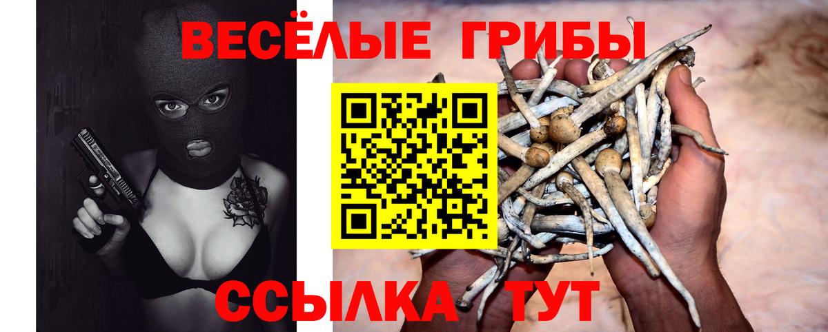 Галлюциногенные грибы MAGIC MUSHROOMS Красный Сулин